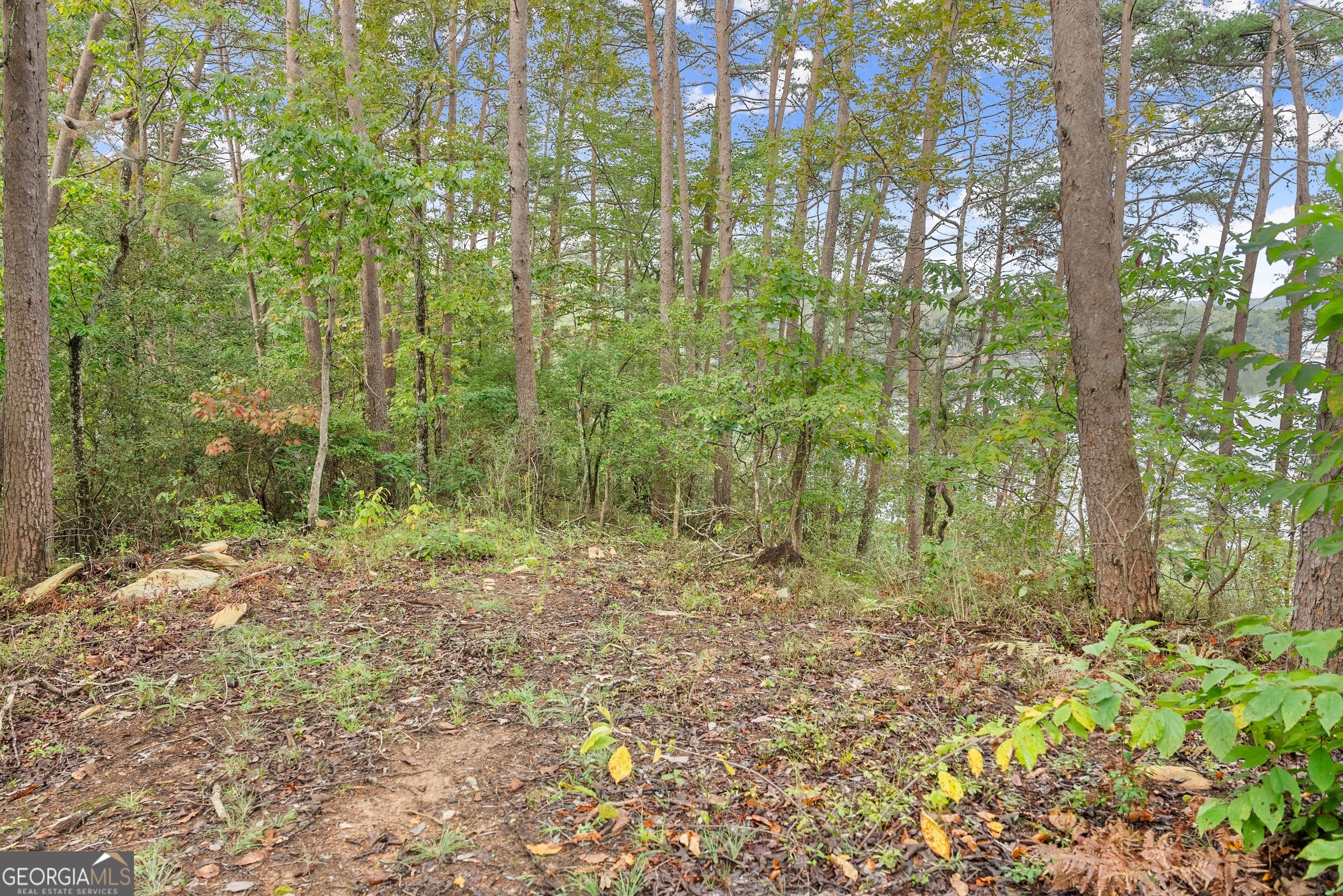 4193 Cagle Road Lula GA 30554