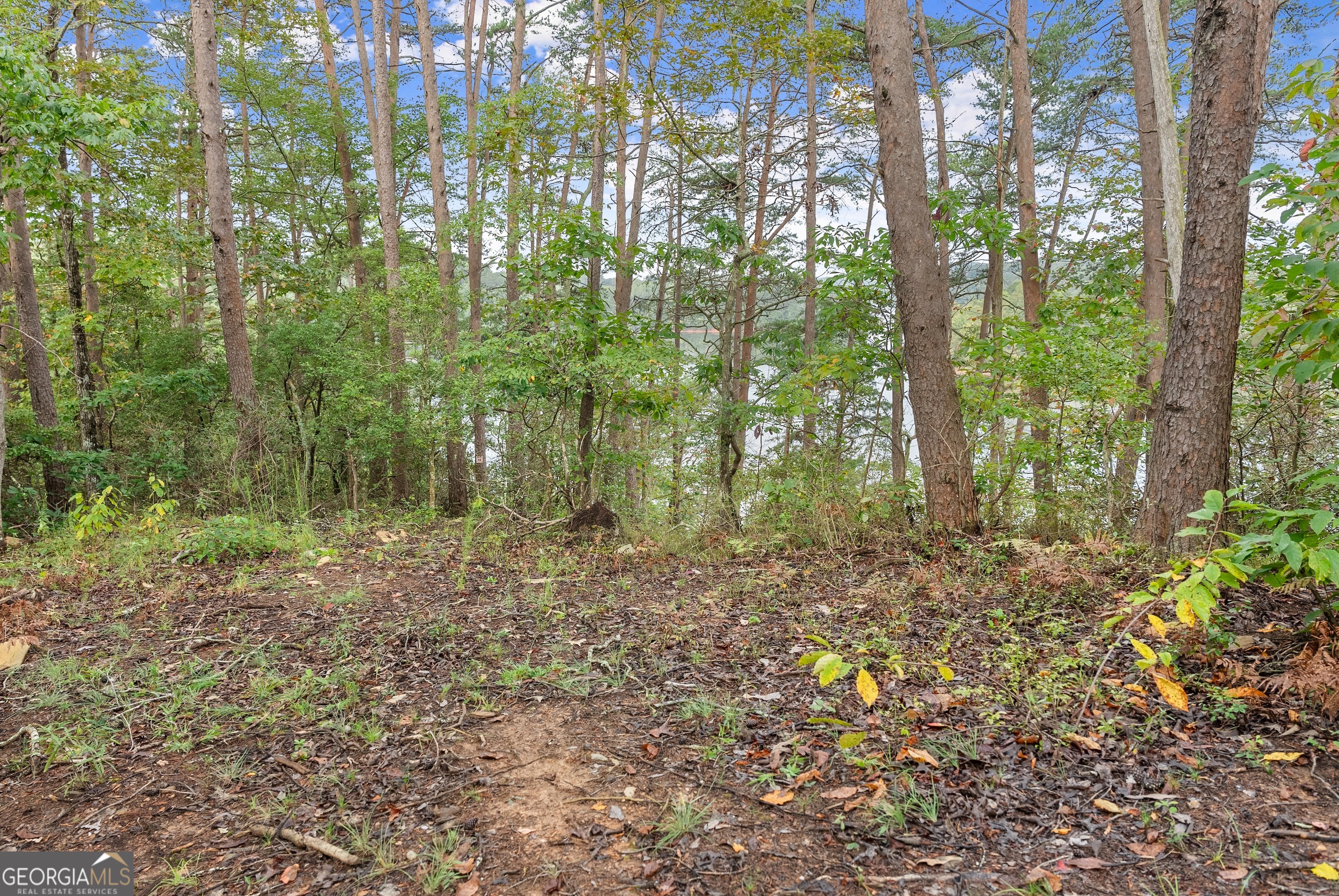 4193 Cagle Road Lula GA 30554