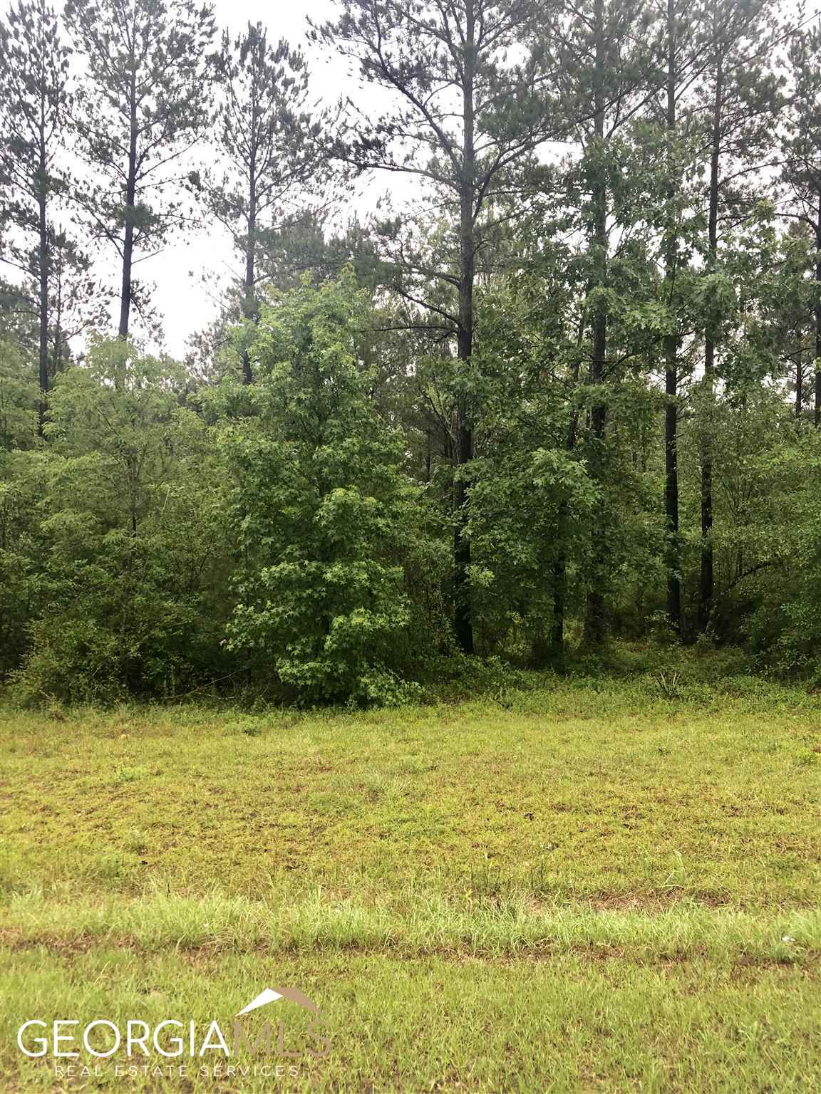 0 Creek Indian Trail Dublin GA 31021
