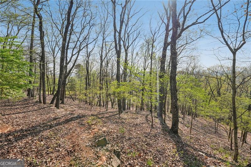 8240 Cox Mountain Drive Big Canoe GA 30143