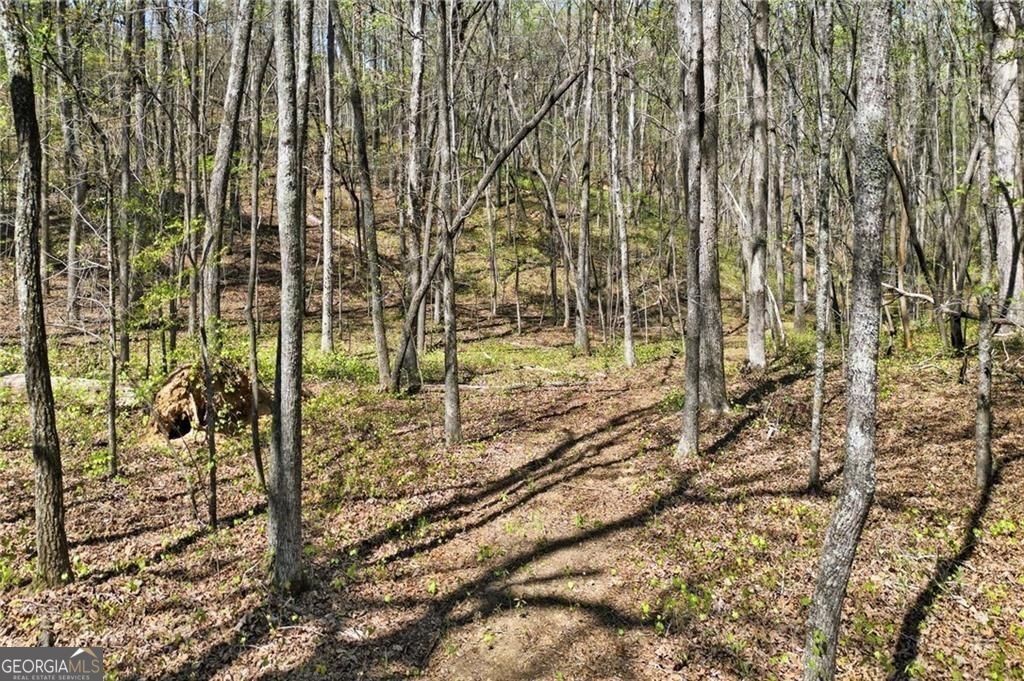 3102 Flatbottom Road Ball Ground GA 30107