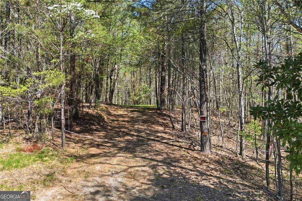 3102 Flatbottom Road Ball Ground GA 30107