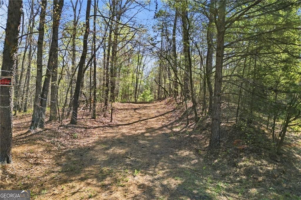 3102 Flatbottom Road Ball Ground GA 30107