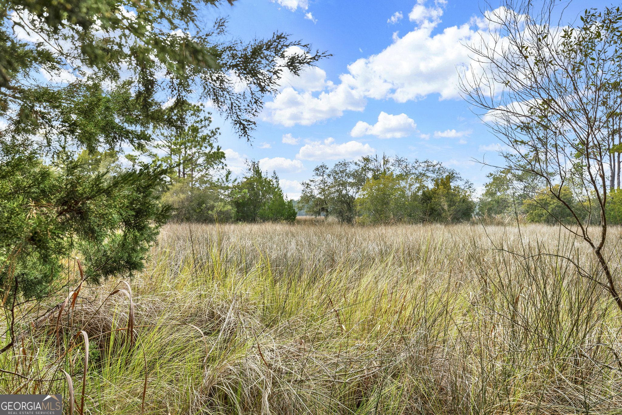 199 Burton Road Savannah GA 31405
