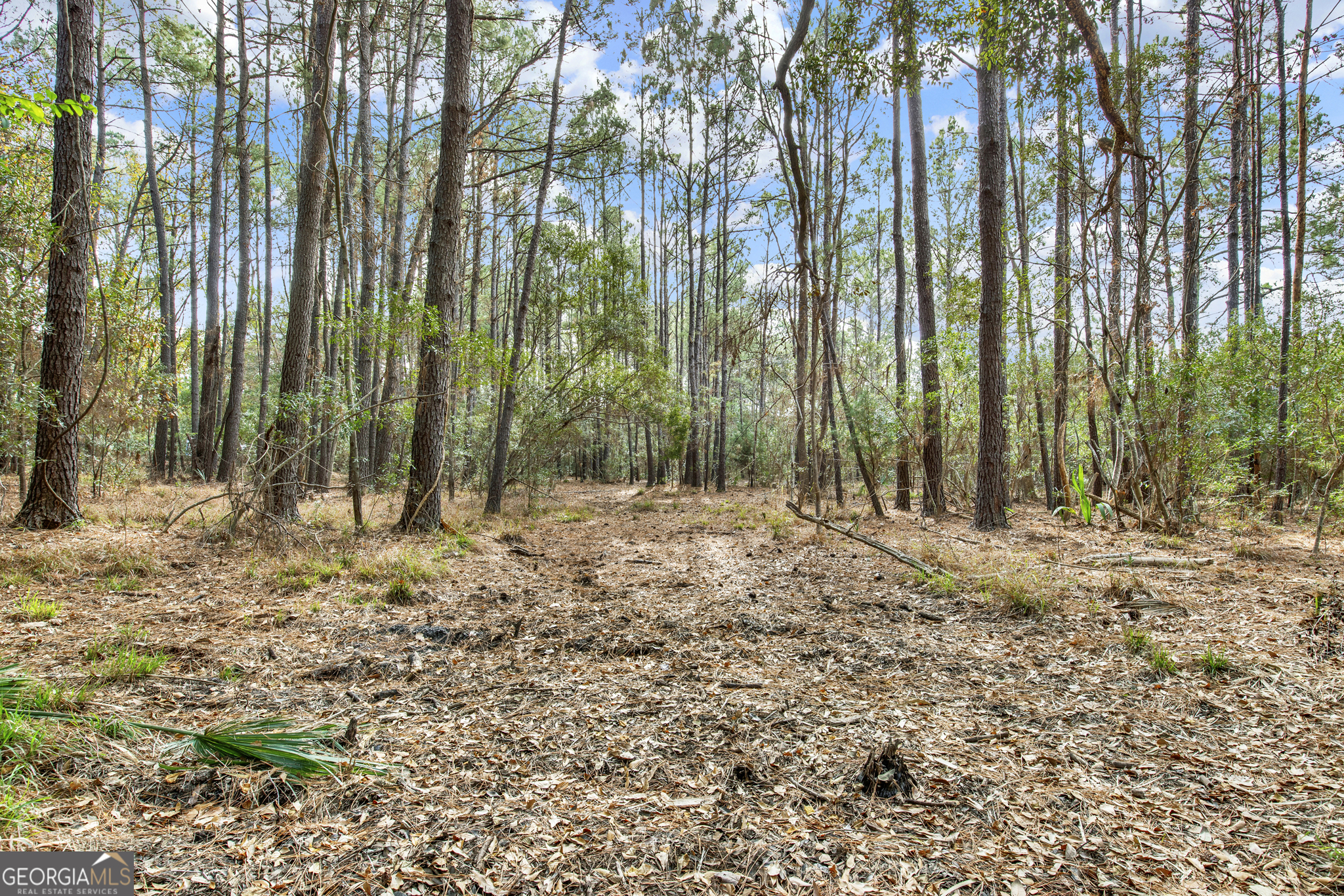 199 Burton Road Savannah GA 31405