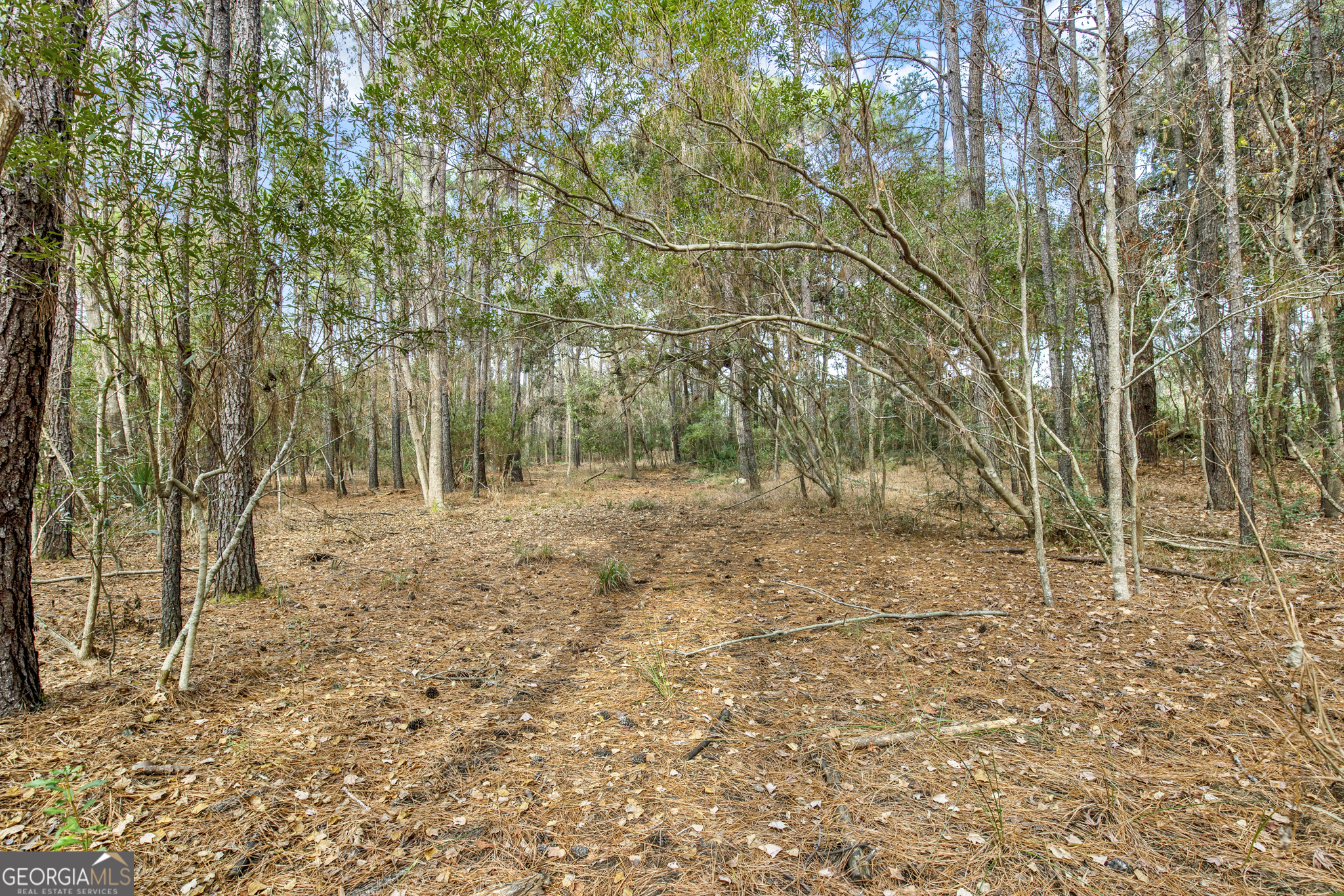 199 Burton Road Savannah GA 31405