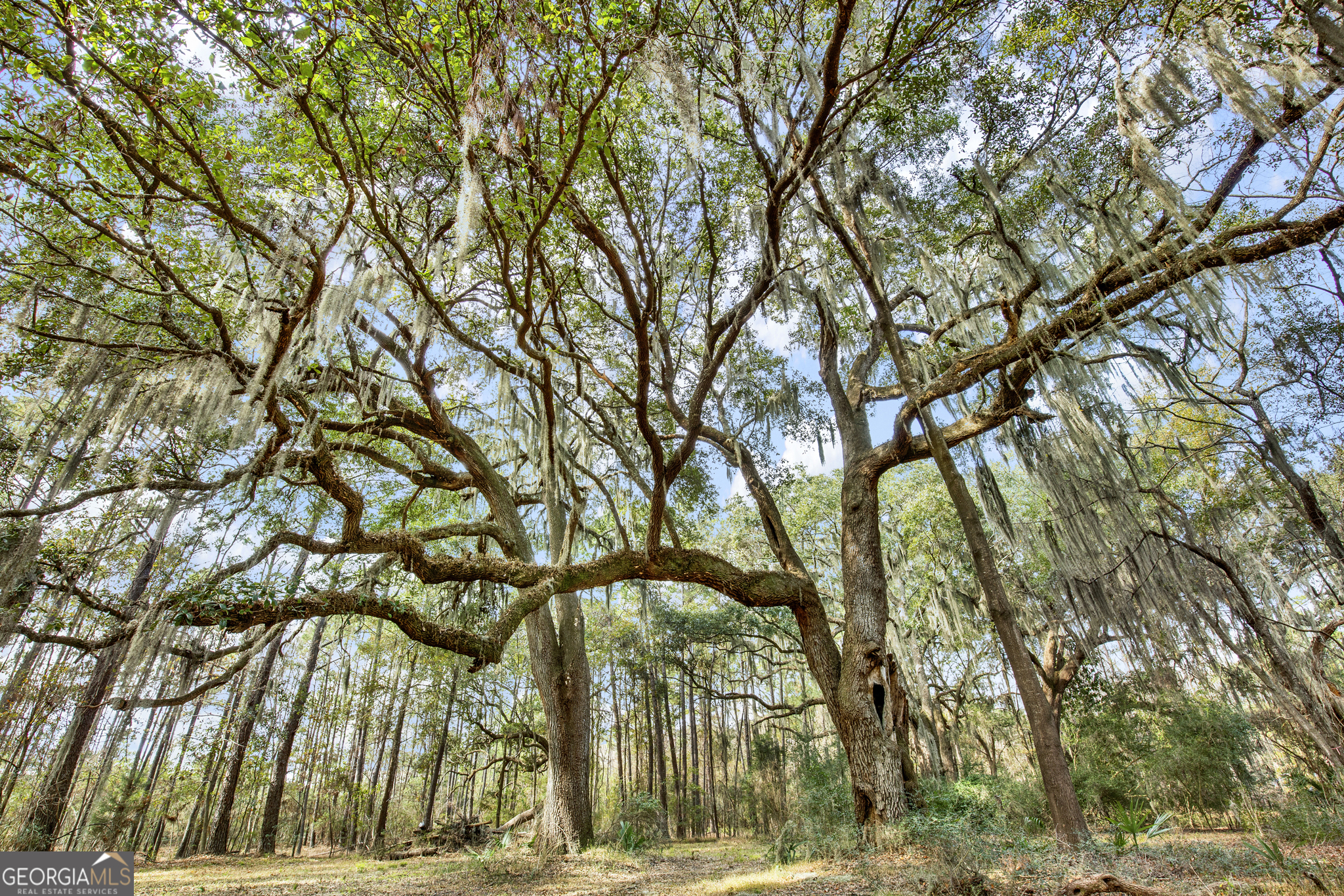 199 Burton Road Savannah GA 31405