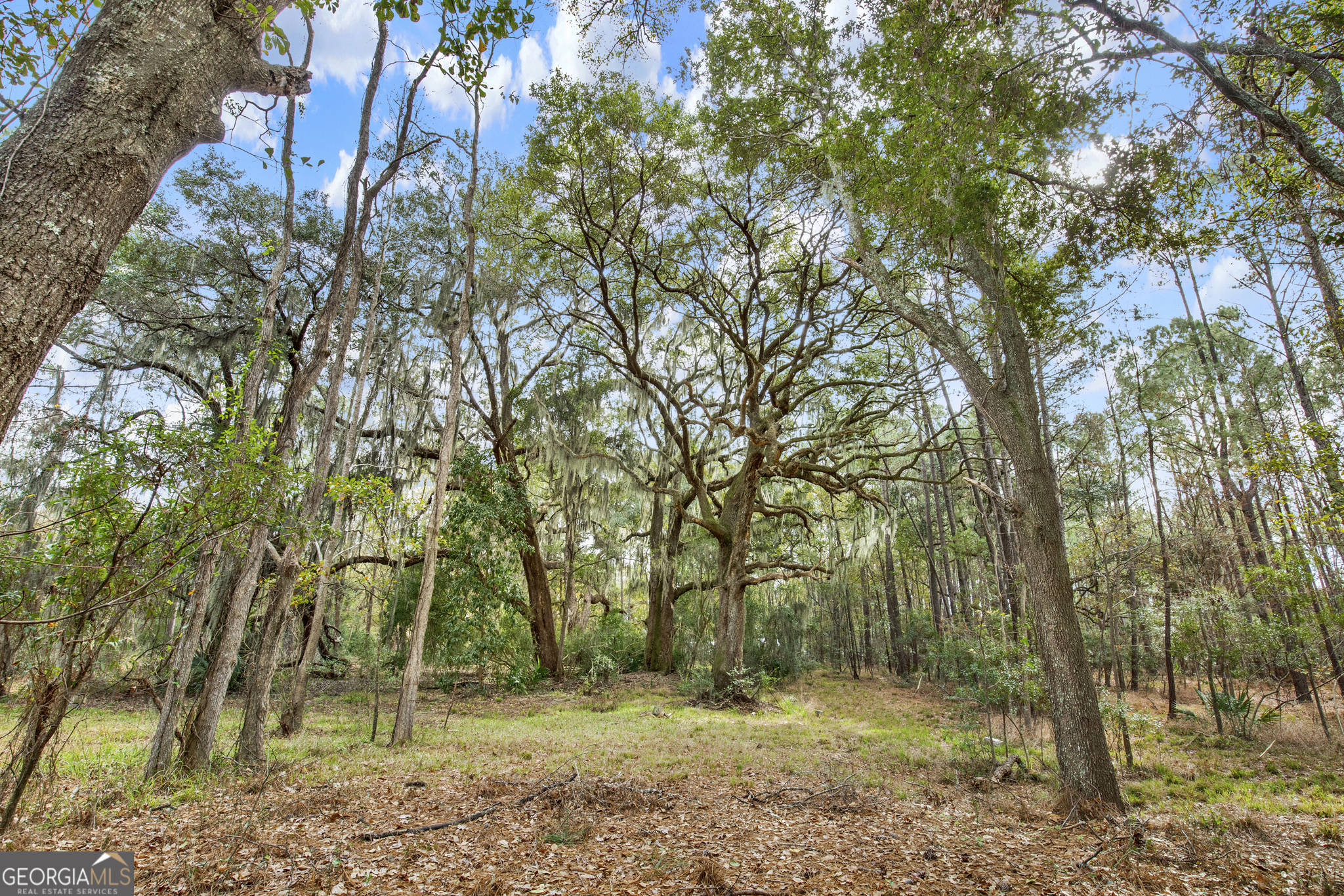 199 Burton Road Savannah GA 31405