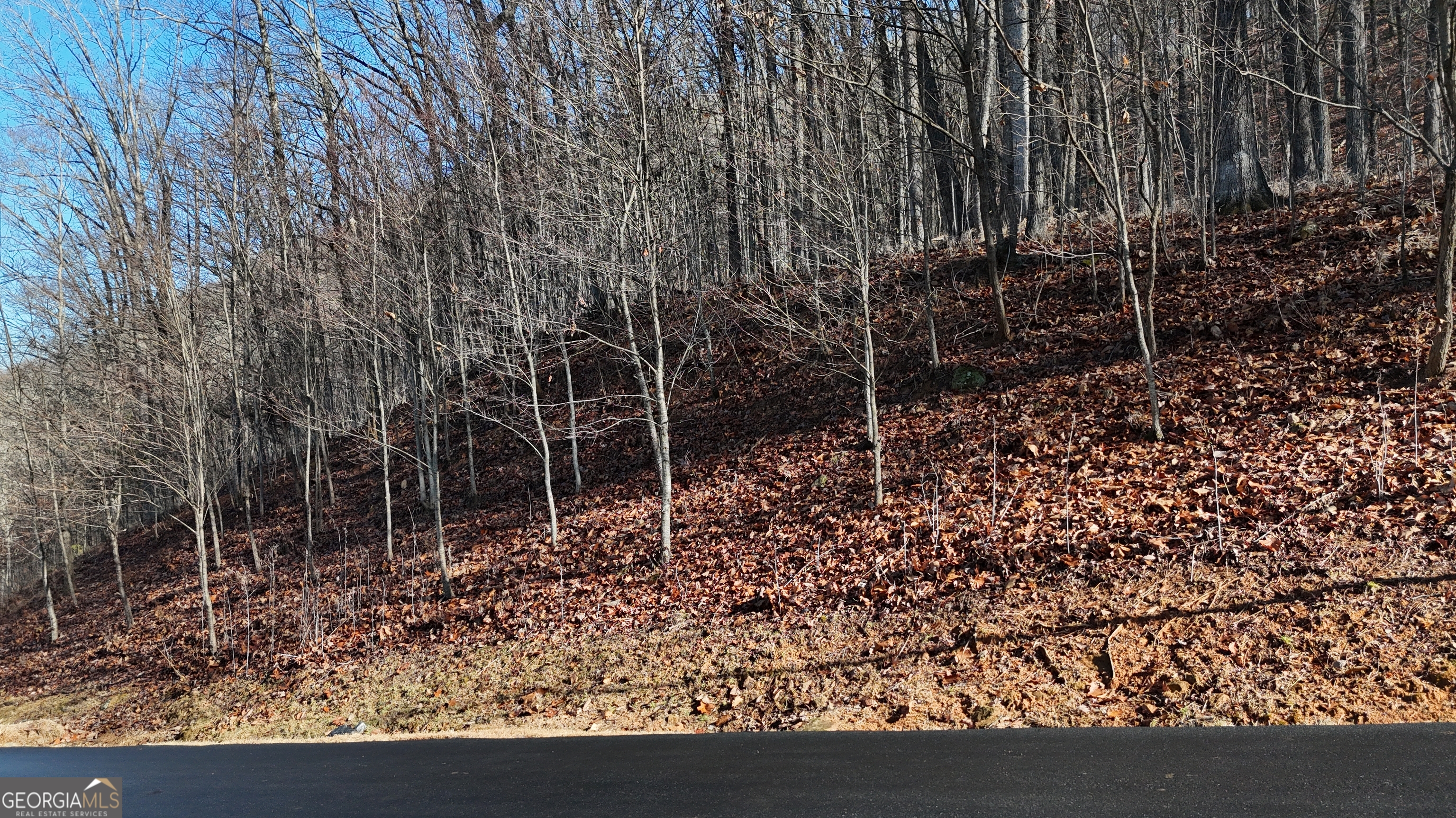 Lot 45 Mountainside Drive Cleveland GA 30528