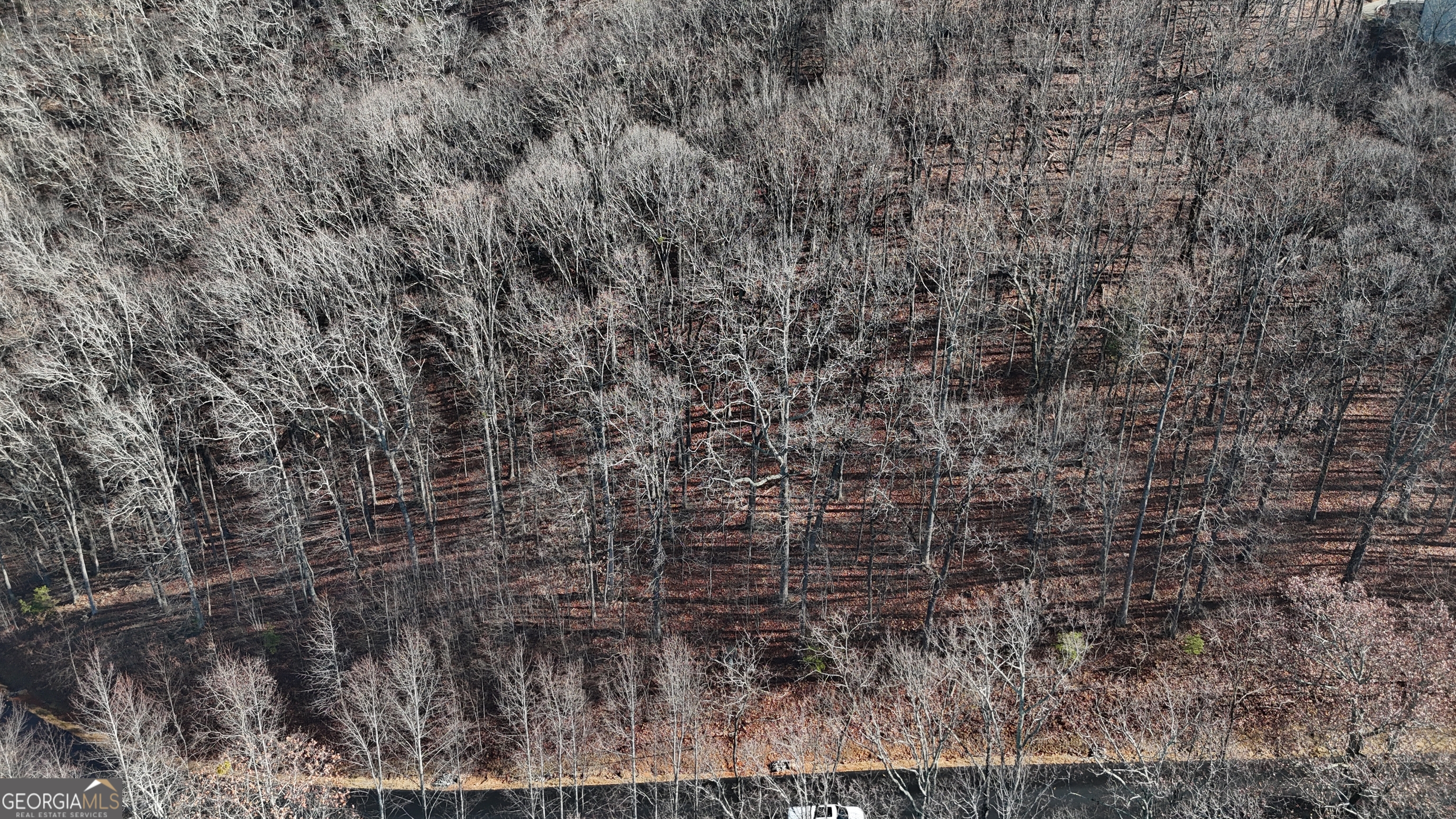 Lot 45 Mountainside Drive Cleveland GA 30528