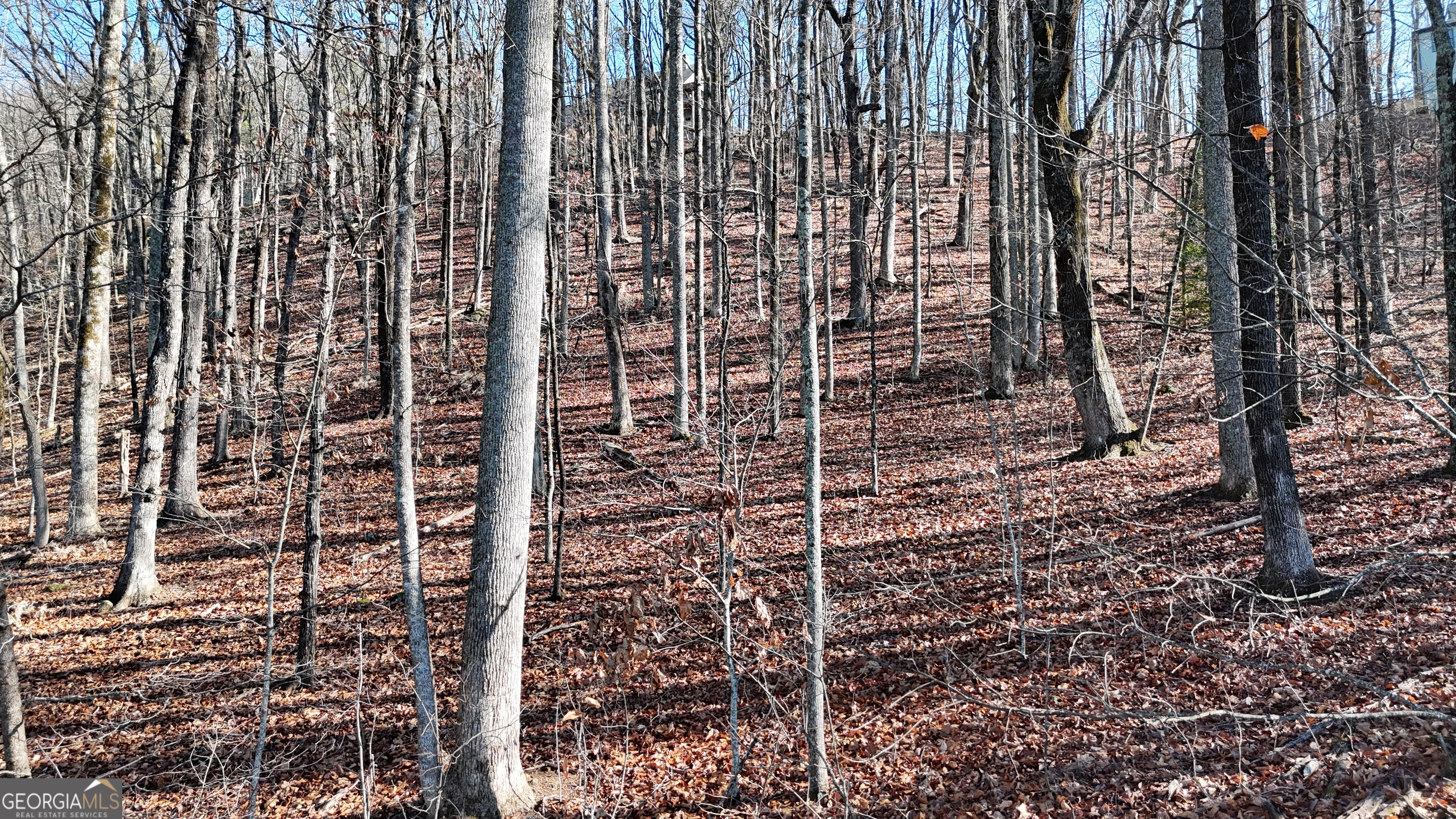 Lot 45 Mountainside Drive Cleveland GA 30528