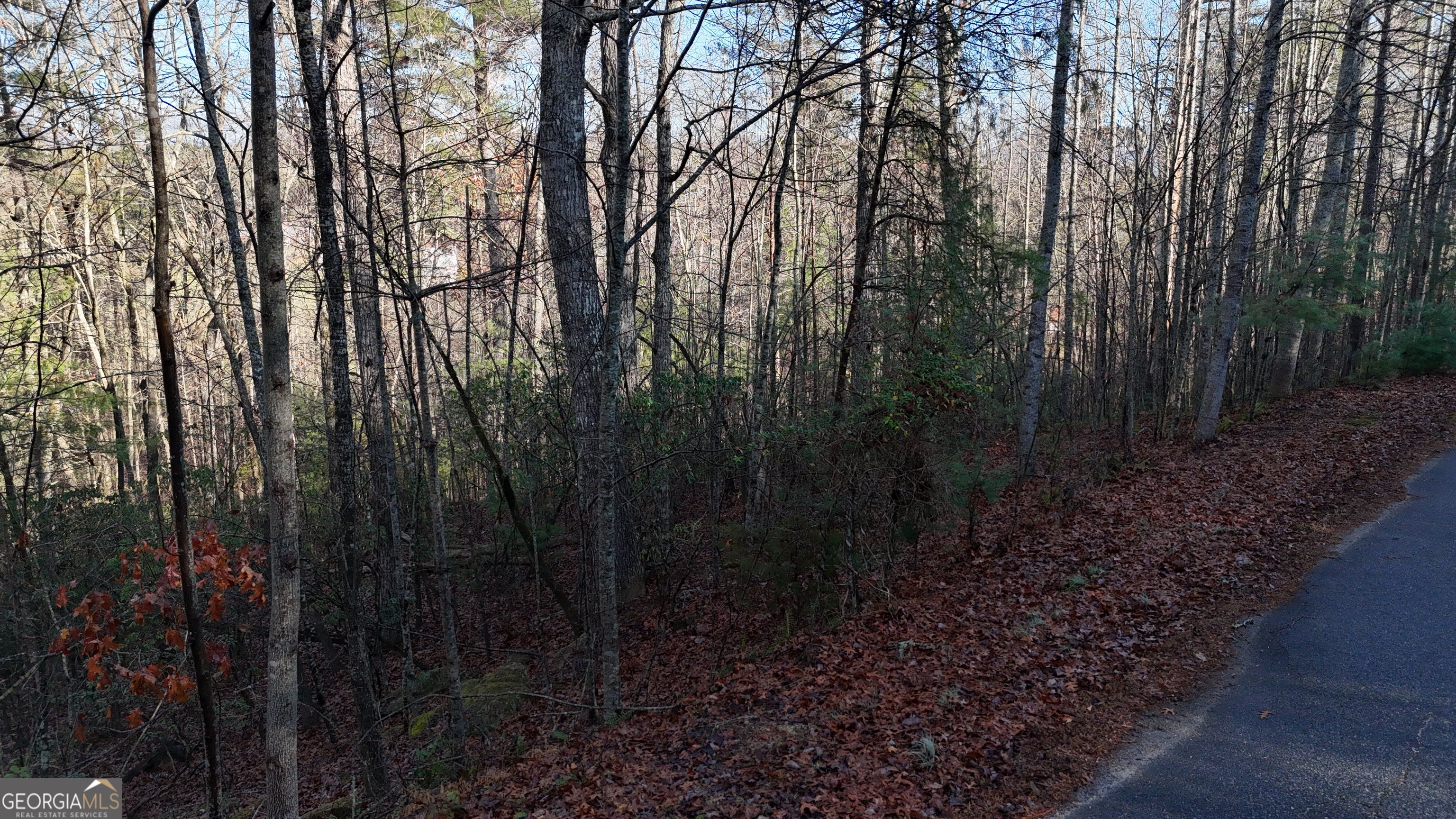 Lot 10 Gold Ditch Road Cleveland GA 30528