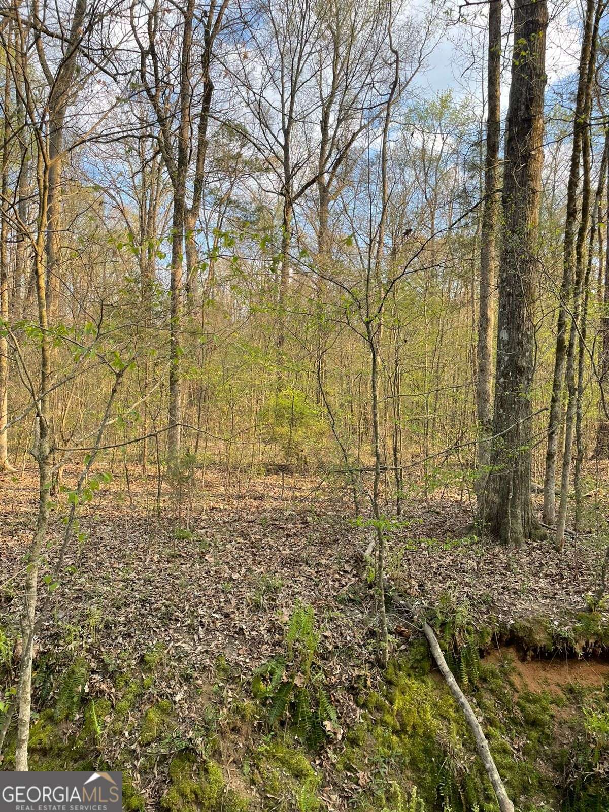 2557 Washington Highway Elberton GA 30635