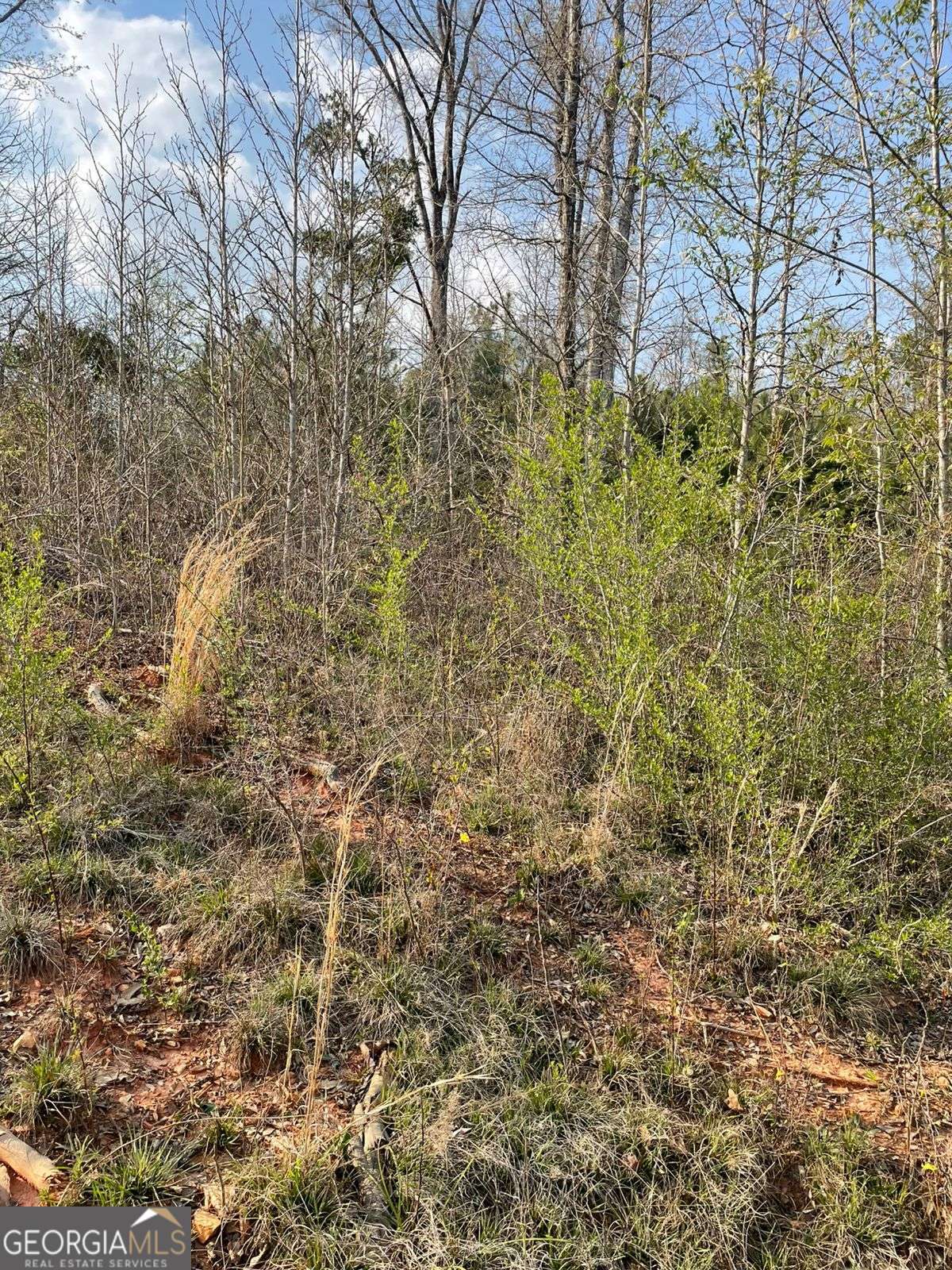 2557 Washington Highway Elberton GA 30635