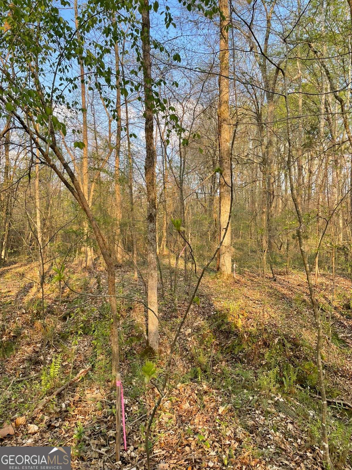 2557 Washington Highway Elberton GA 30635