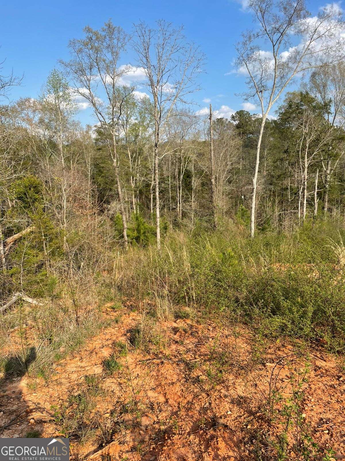 2557 Washington Highway Elberton GA 30635