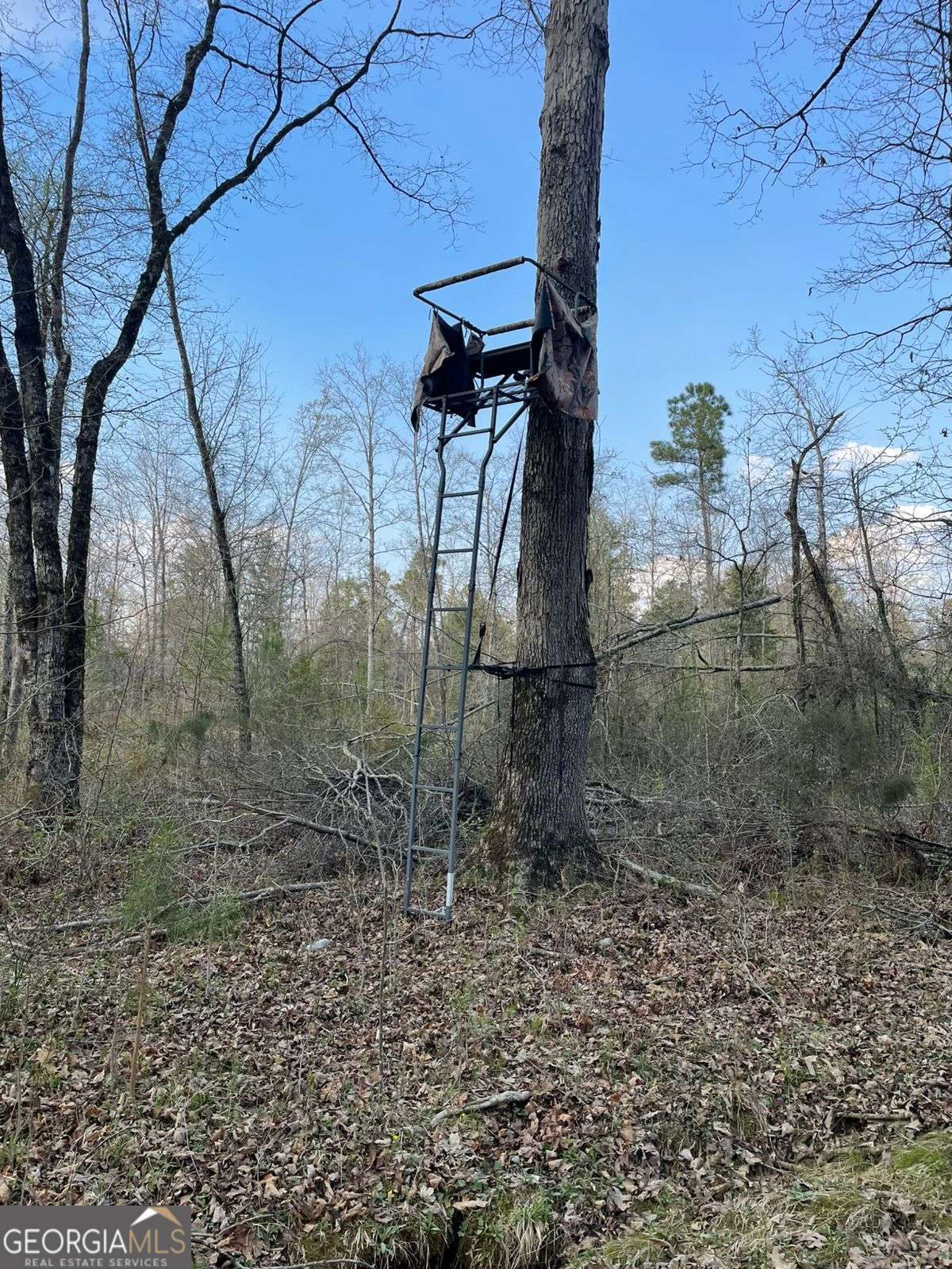 2557 Washington Highway Elberton GA 30635
