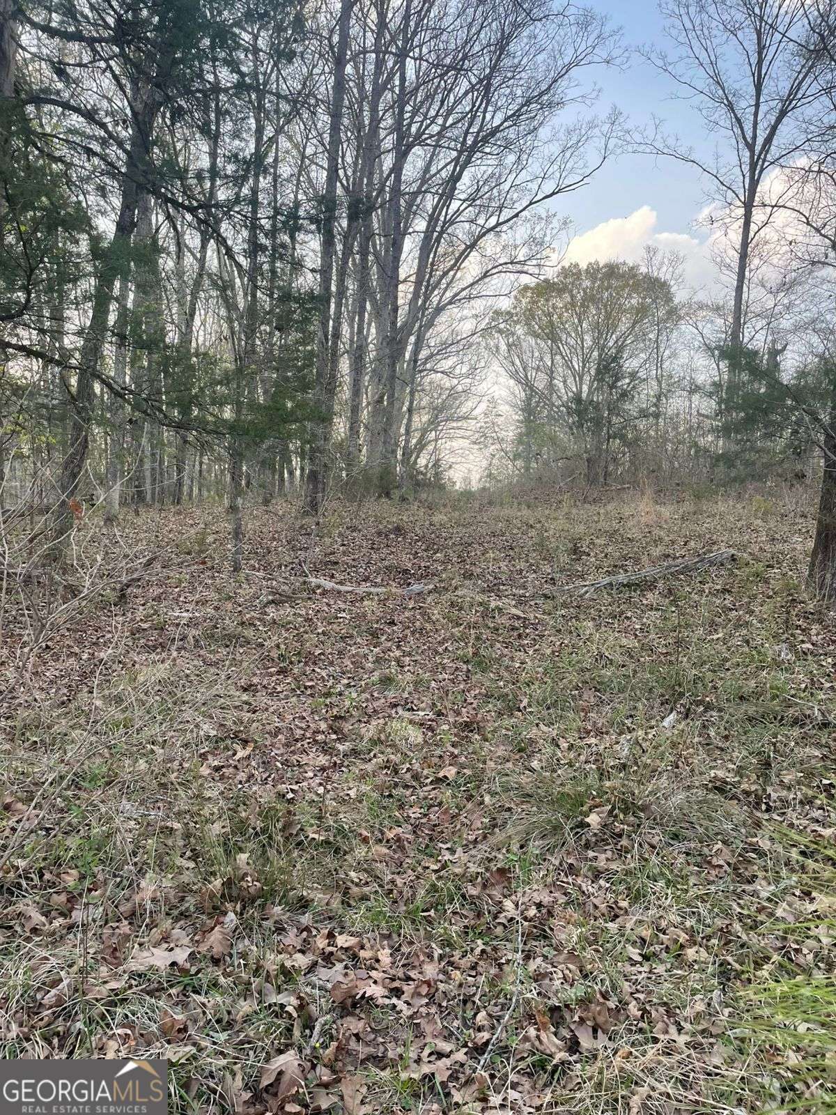 2557 Washington Highway Elberton GA 30635