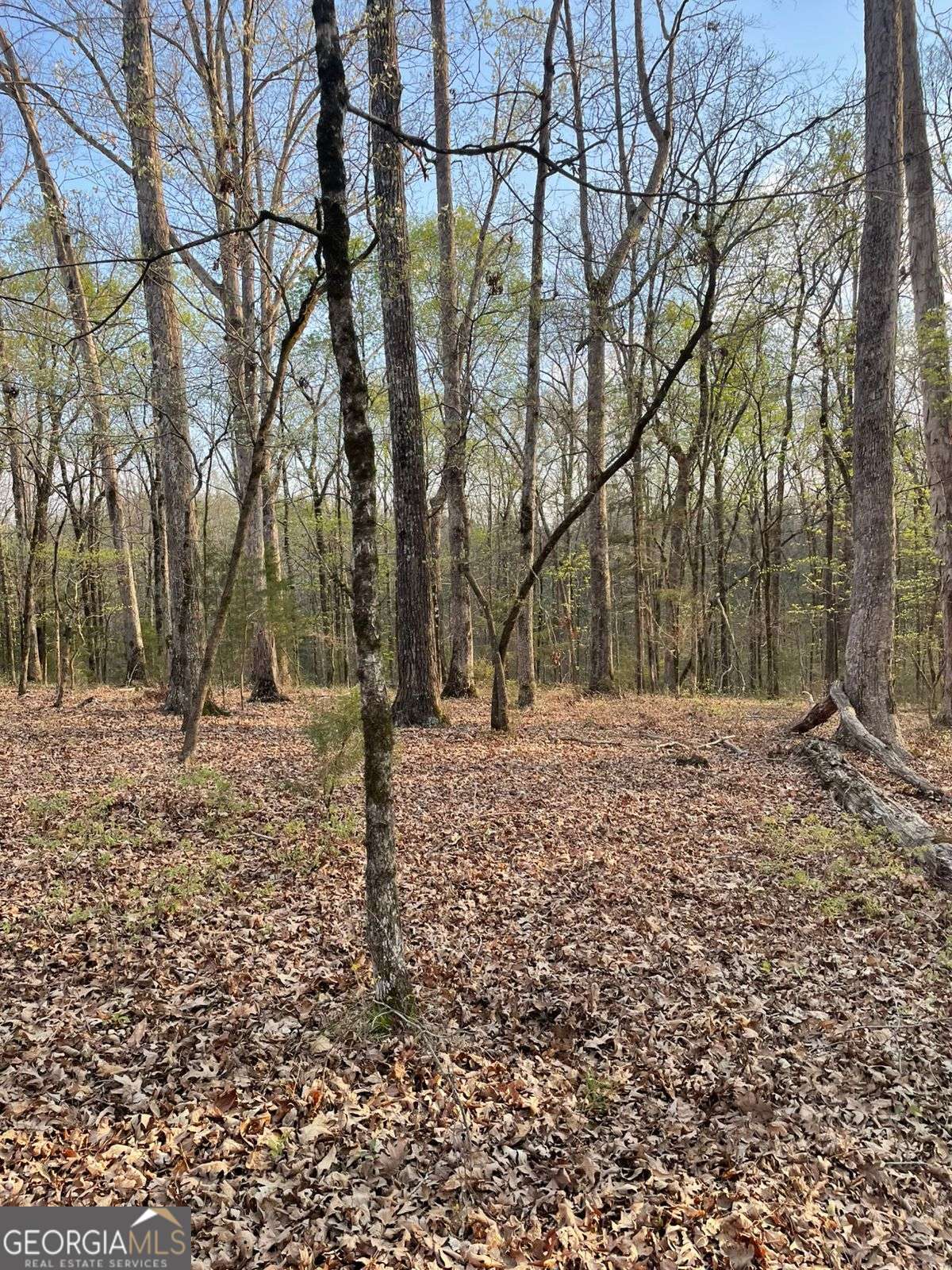 2557 Washington Highway Elberton GA 30635