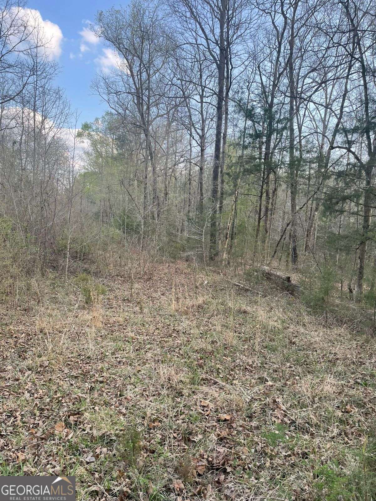 2557 Washington Highway Elberton GA 30635