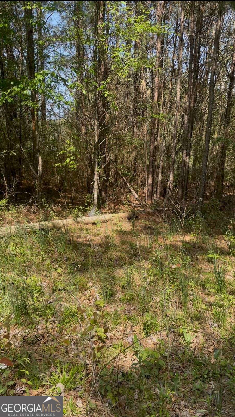 2557 Washington Highway Elberton GA 30635