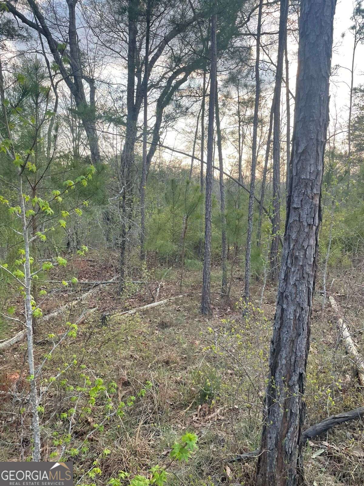 2557 Washington Highway Elberton GA 30635