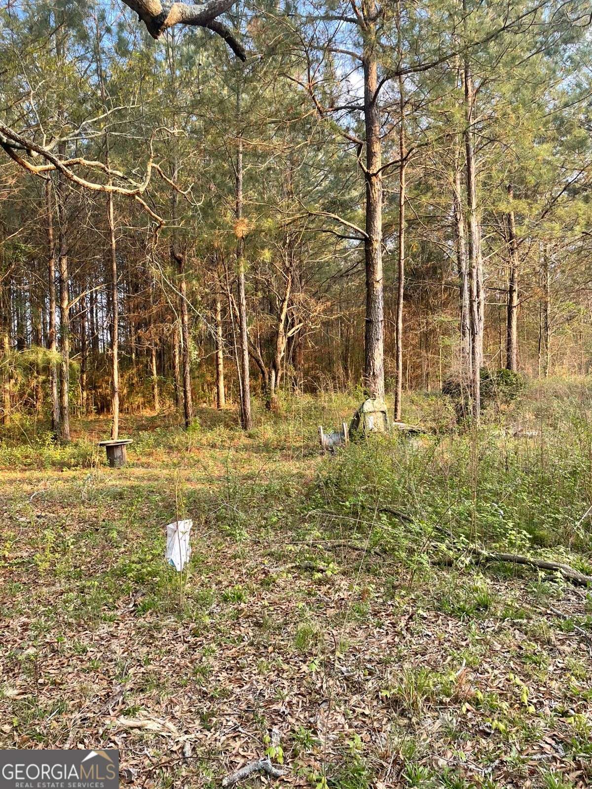 2557 Washington Highway Elberton GA 30635