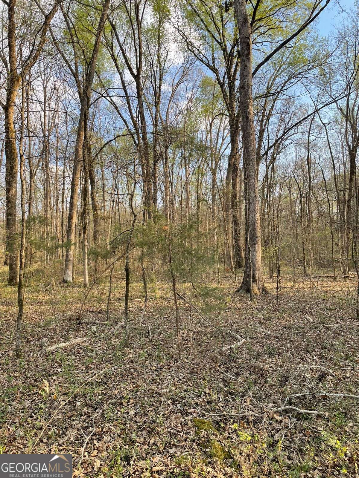 2557 Washington Highway Elberton GA 30635