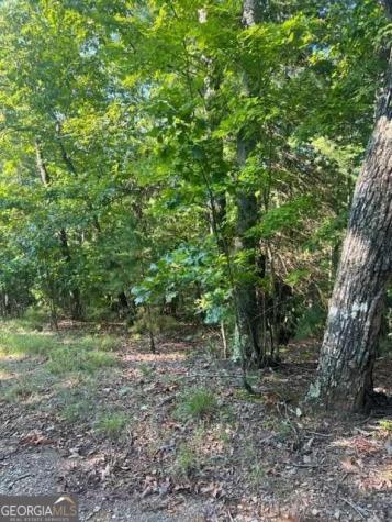 Lt 33 Buck Creek Road Ellijay GA 30540