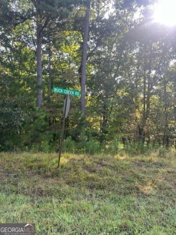 Lt 33 Buck Creek Road Ellijay GA 30540