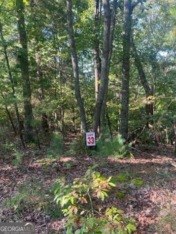 Lt 33 Buck Creek Road Ellijay GA 30540