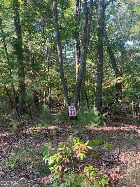 Lt 33 Buck Creek Road Ellijay GA 30540
