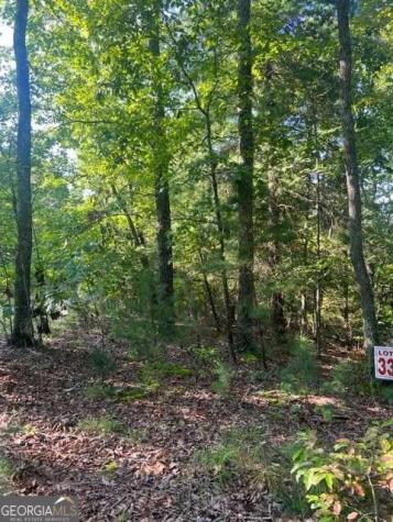 Lt 33 Buck Creek Road Ellijay GA 30540