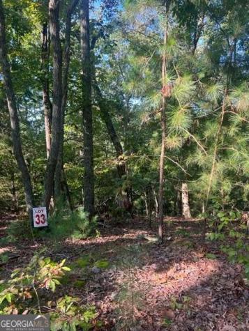 Lt 33 Buck Creek Road Ellijay GA 30540