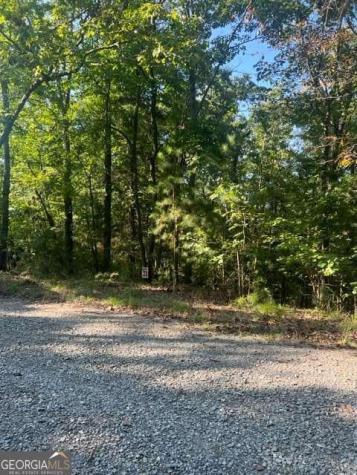 Lt 33 Buck Creek Road Ellijay GA 30540