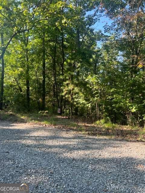 Lt 33 Buck Creek Road Ellijay GA 30540
