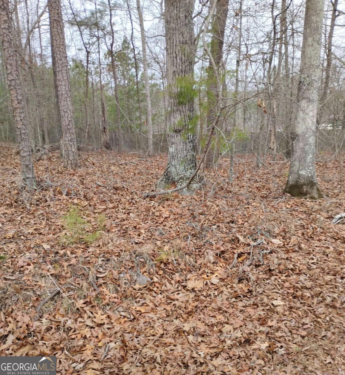 0 Willie West Road Canton GA 30114