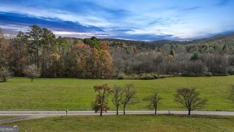 14.36 Ac Night Lane Epworth GA 30541