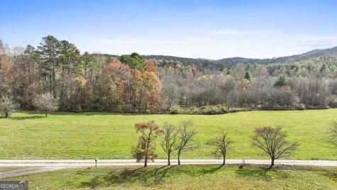 14.36 Ac Night Lane Epworth GA 30541