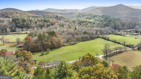 14.36 Ac Night Lane Epworth GA 30541