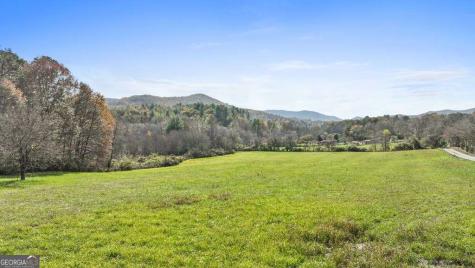14.36 Ac Night Lane Epworth GA 30541