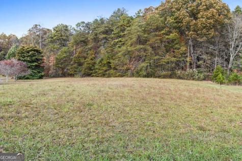 14.36 Ac Night Lane Epworth GA 30541