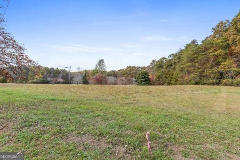 14.36 Ac Night Lane Epworth GA 30541