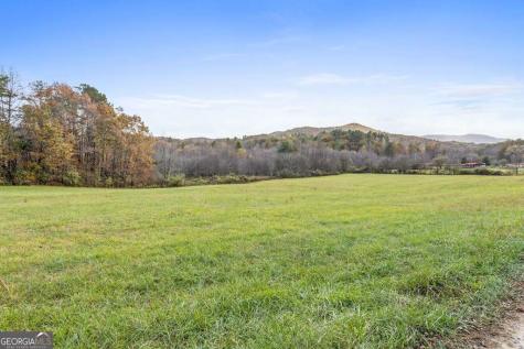 14.36 Ac Night Lane Epworth GA 30541
