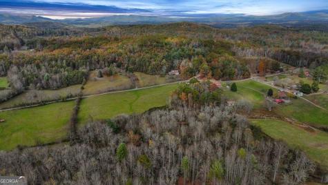 14.36 Ac Night Lane Epworth GA 30541