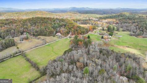 14.36 Ac Night Lane Epworth GA 30541