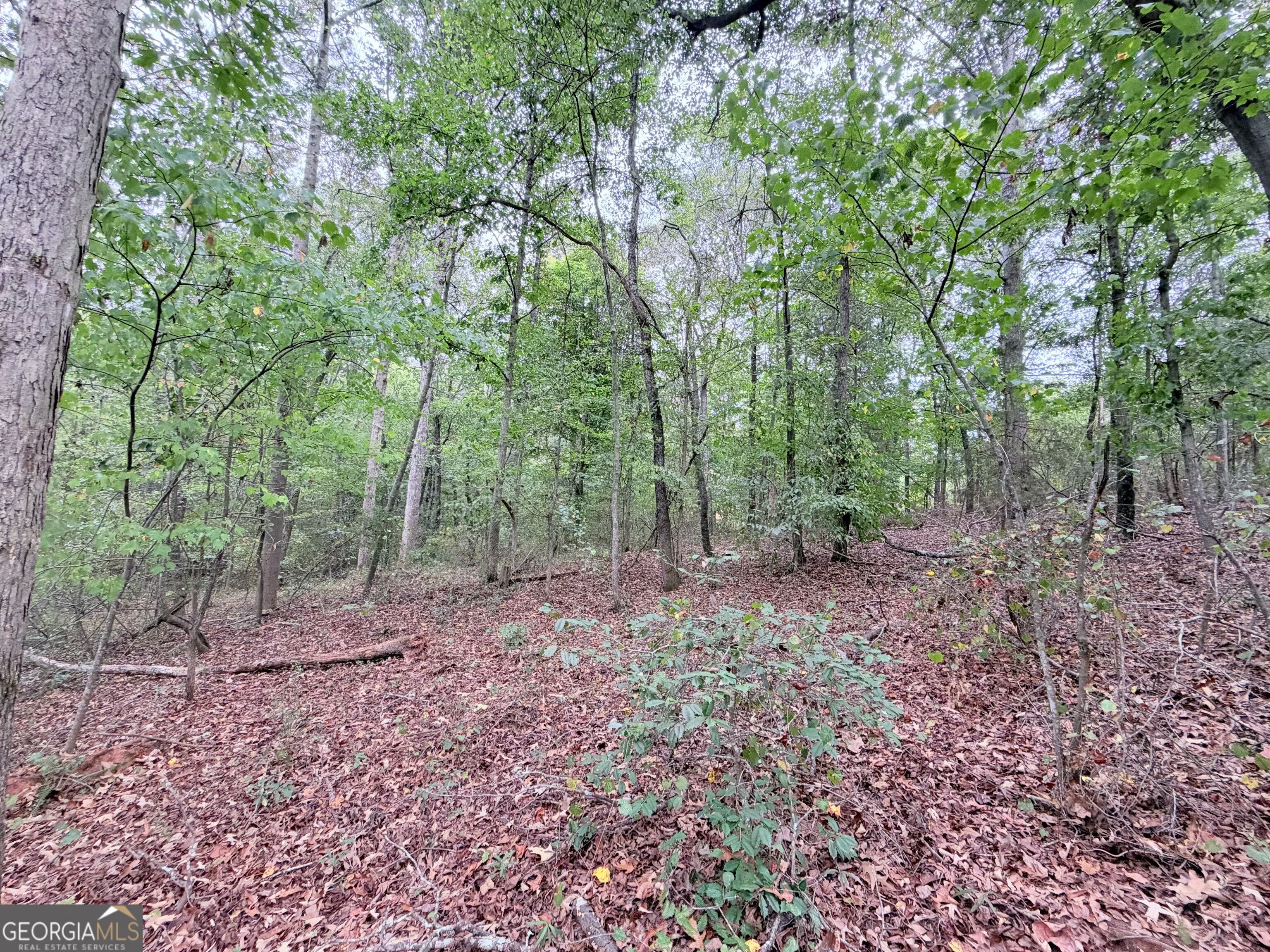 147 Bond Bridge Extension Royston GA 30662