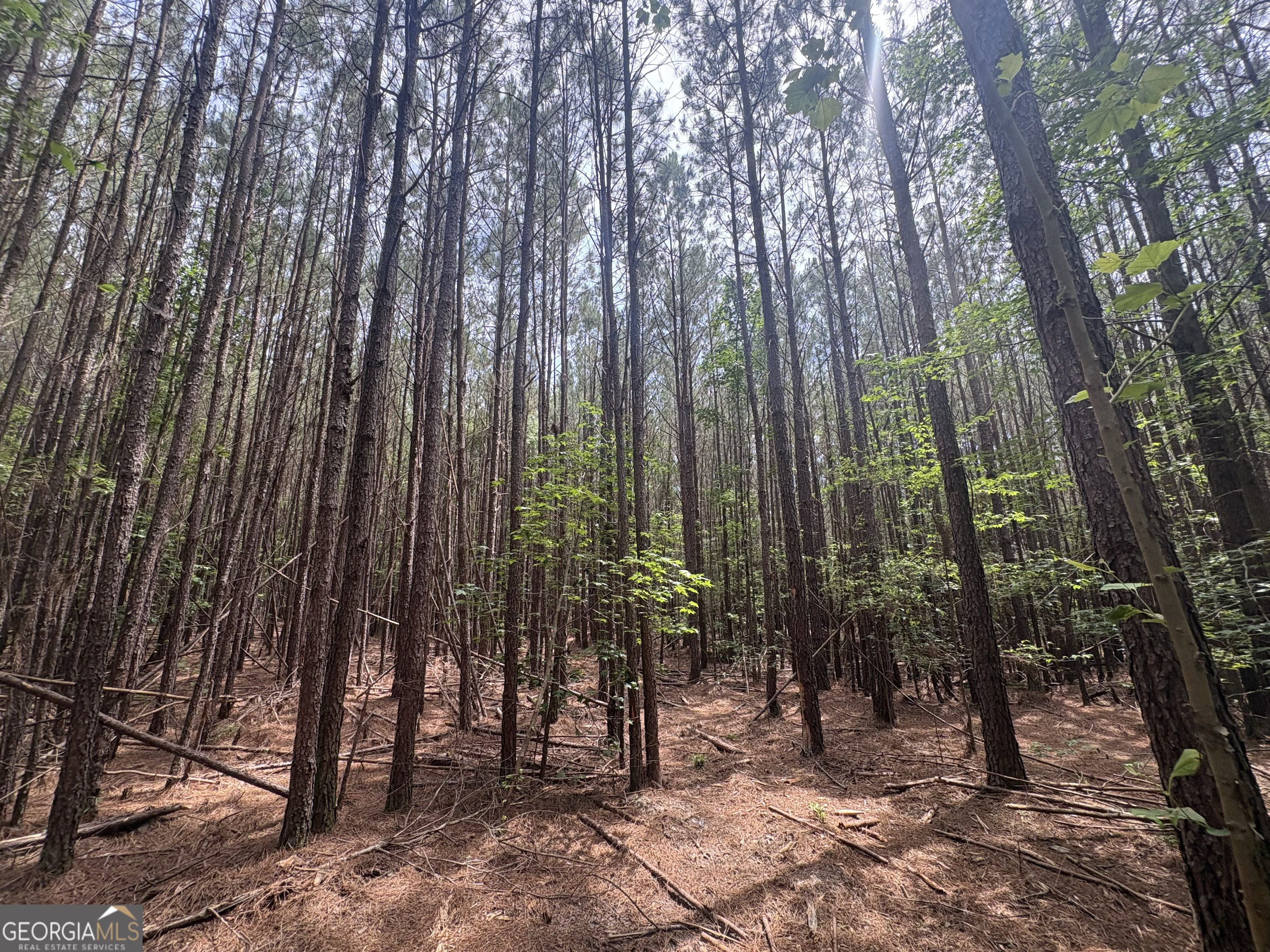 4 Callaway Road Tignall GA 30668