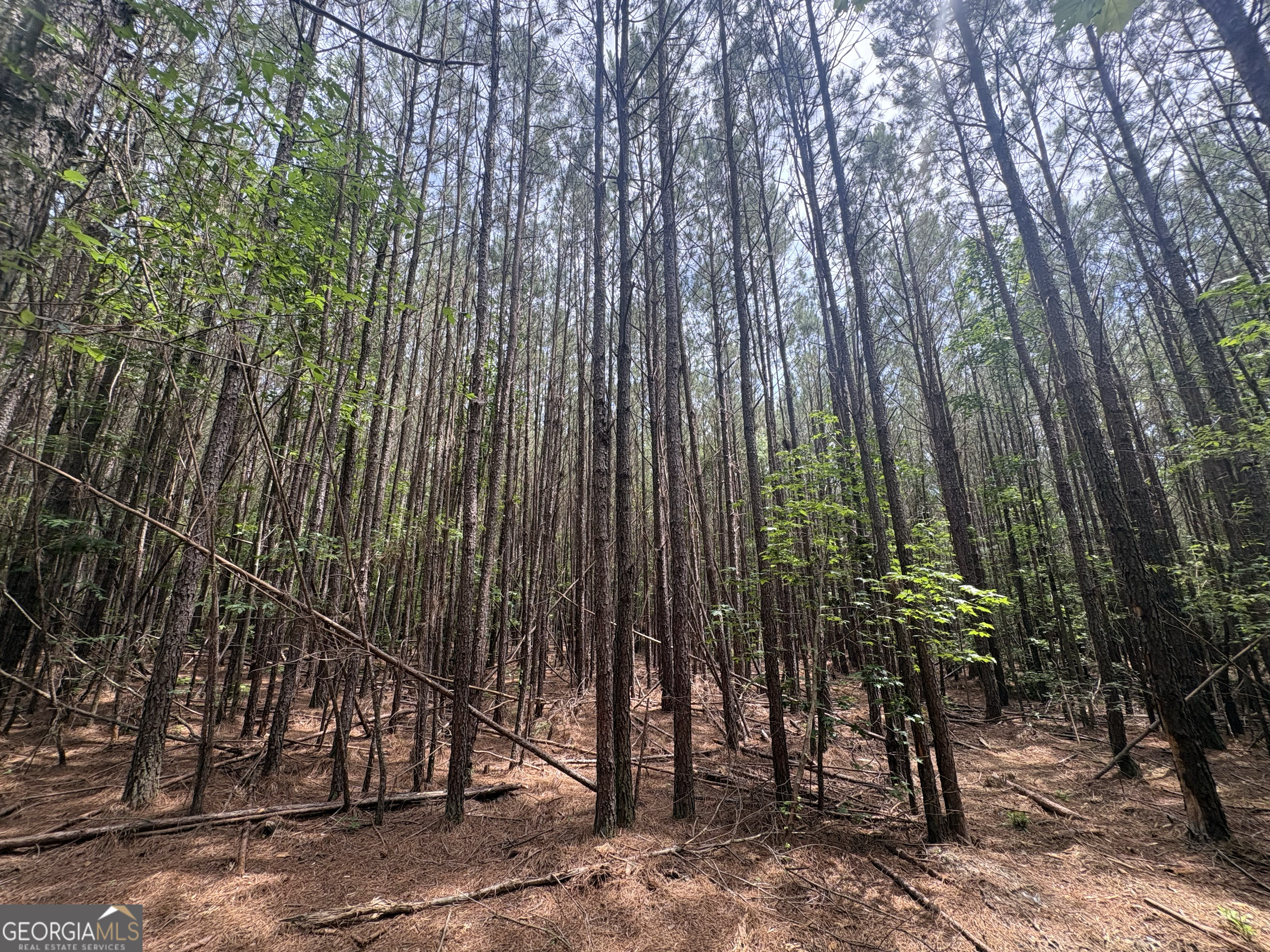 4 Callaway Road Tignall GA 30668