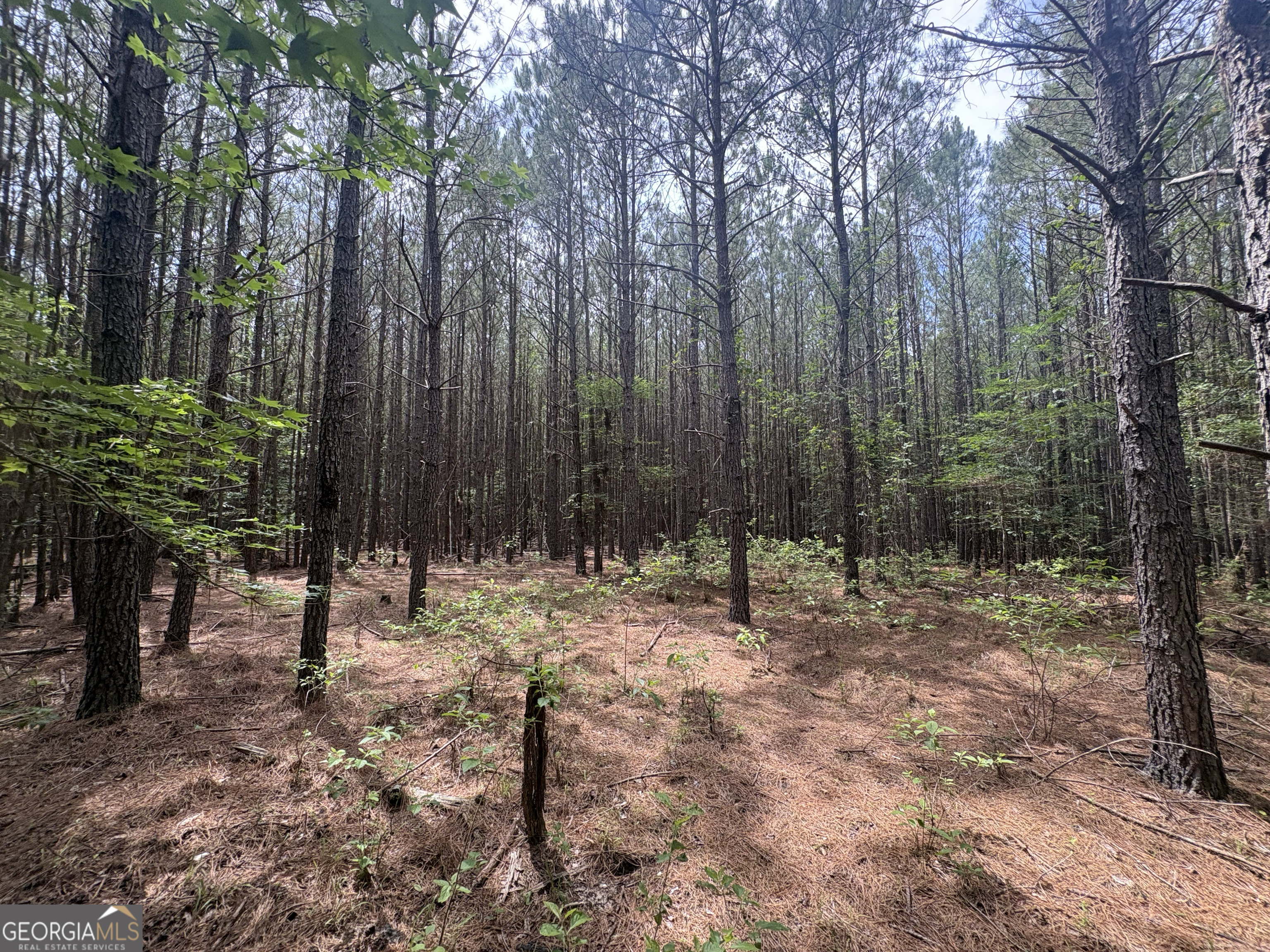 4 Callaway Road Tignall GA 30668